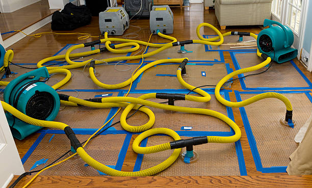 Professional Crawl Space Water Removal technician working in Columbia Falls, ME